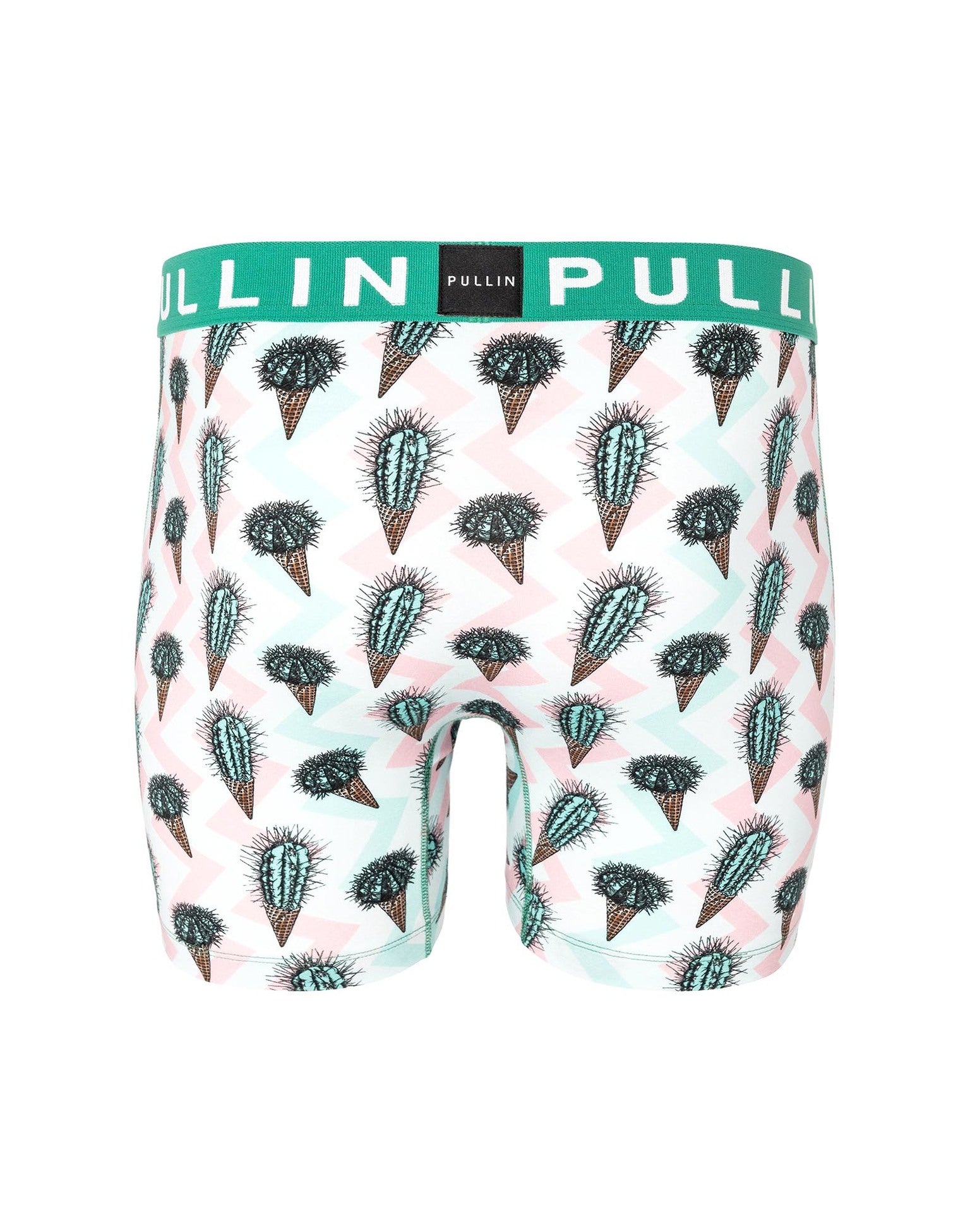 Men’s icetus cactus Print Underwear